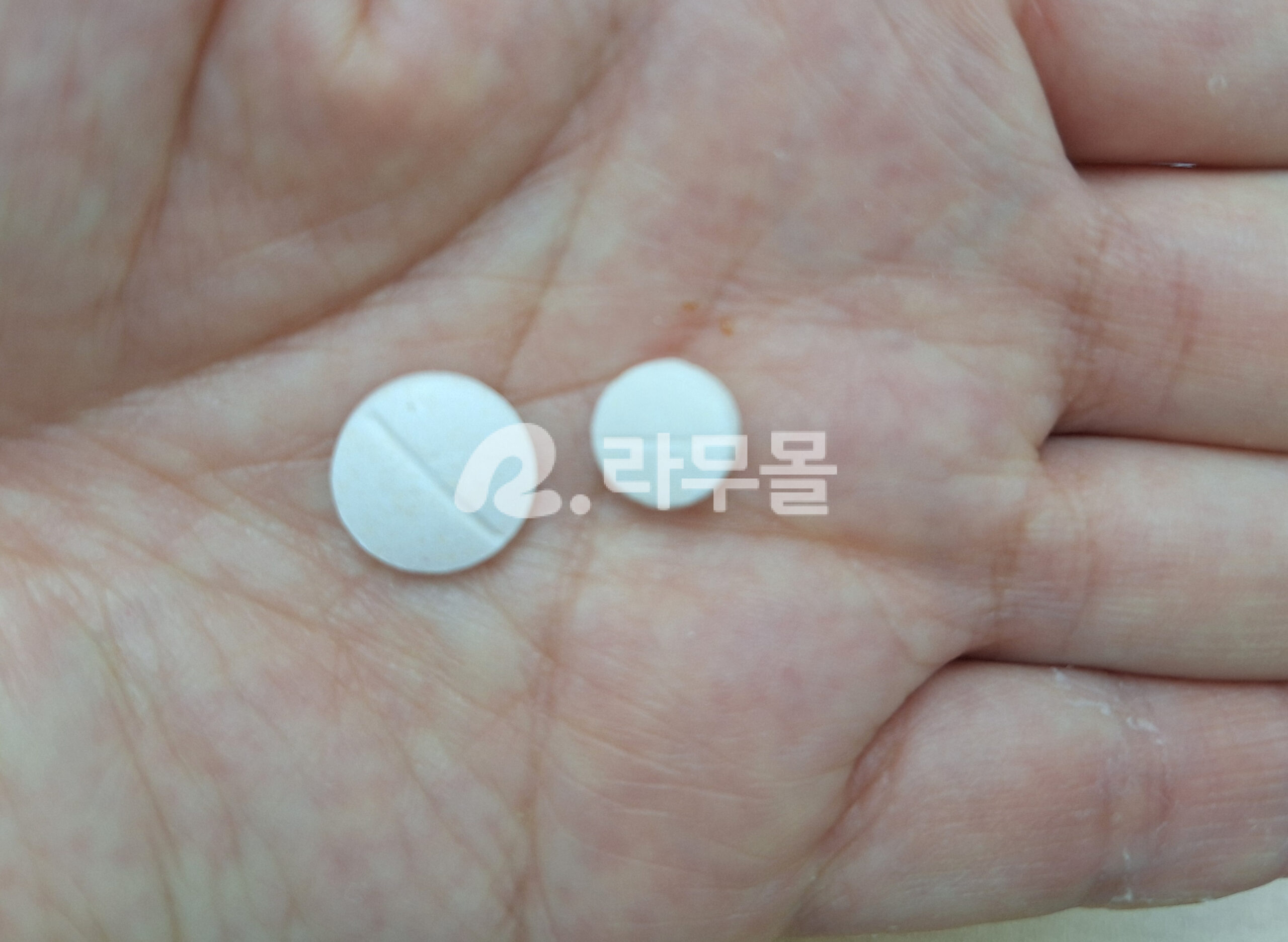 로도낙BP  (콘트라브제네릭/배고픔해소/과식억제) 직구 후기